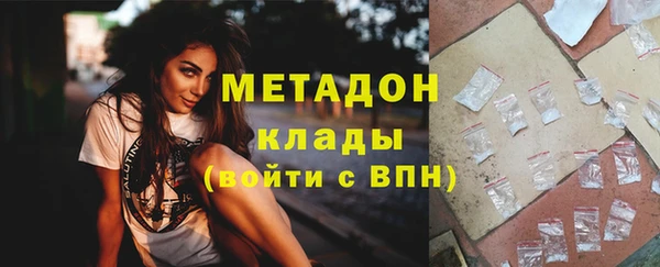 индика Абаза