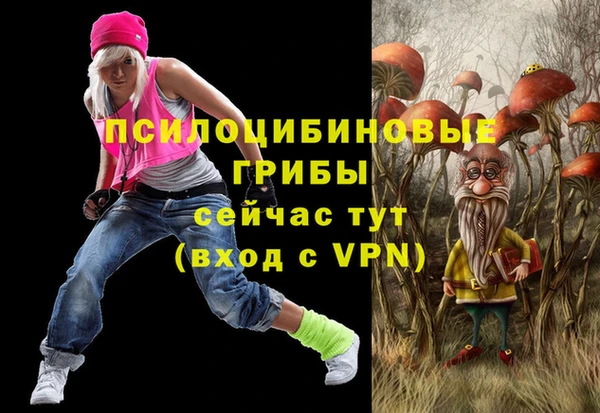 дурь Абинск