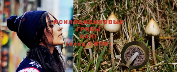 дурь Абинск
