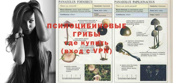 а пвп мука Абдулино