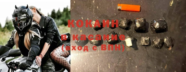 индика Абаза