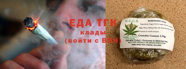 индика Абаза