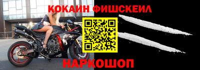 прущие грибы Кандалакша