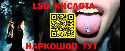 прущие грибы Кандалакша