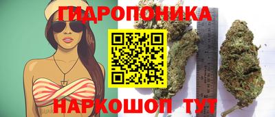 прущие грибы Кандалакша
