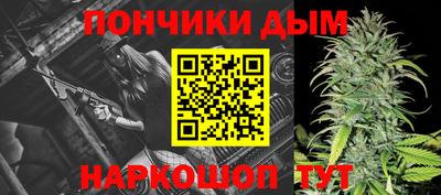 прущие грибы Кандалакша