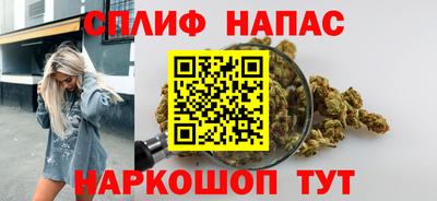 прущие грибы Кандалакша
