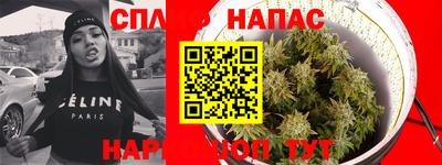 прущие грибы Кандалакша