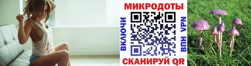 Галлюциногенные грибы Magic Shrooms  Новоалександровск 