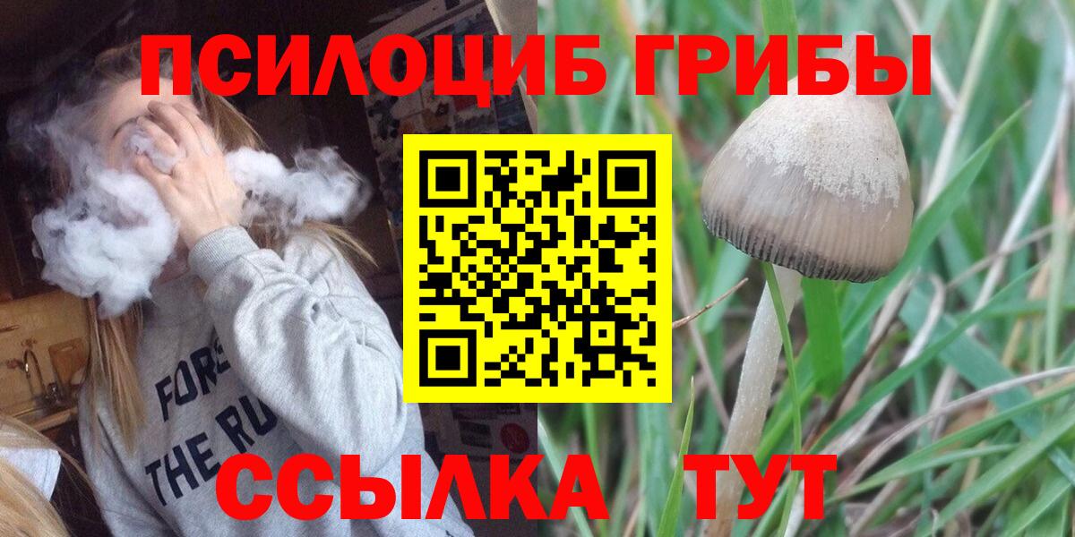 Новоалександровск  Галлюциногенные грибы прущие грибы  Вход с VPN 