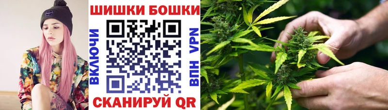 Марихуана план  купить закладку  Новоалександровск 